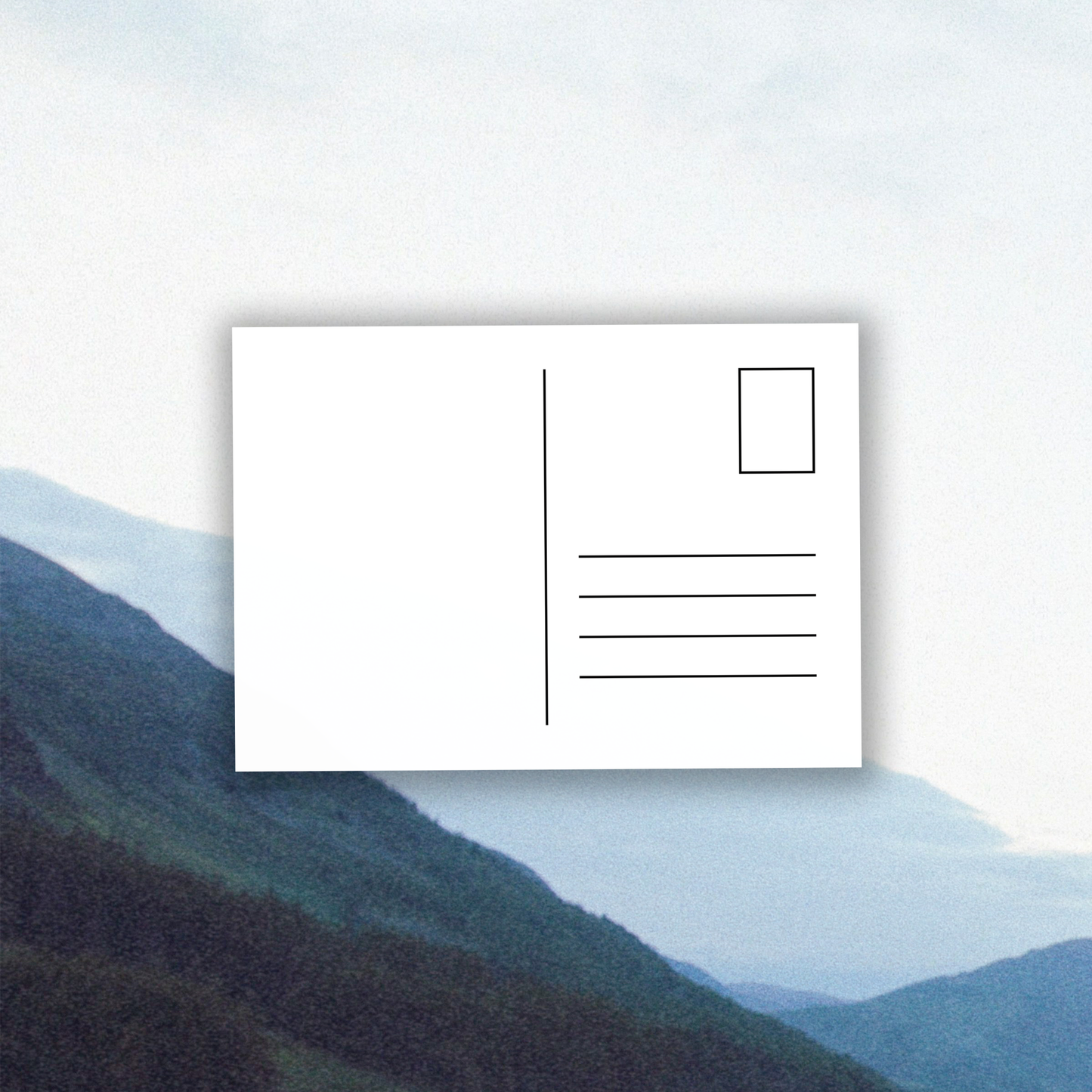 Birds in Winter - CD (ALBUM PRE-ORDER)