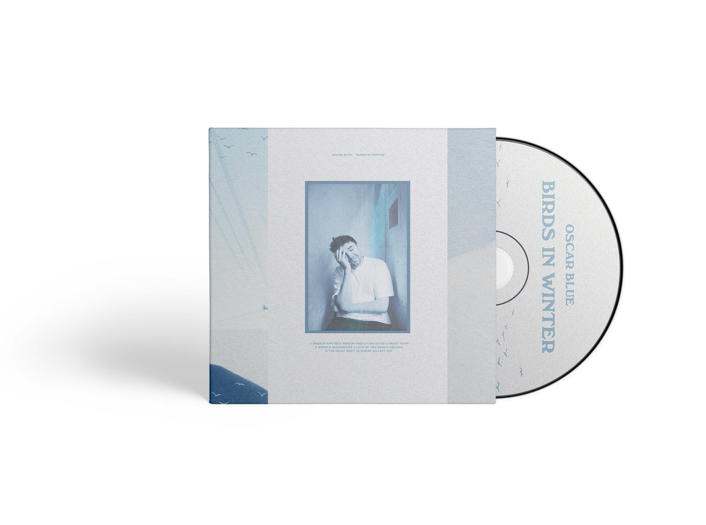 Birds in Winter - CD (ALBUM PRE-ORDER)