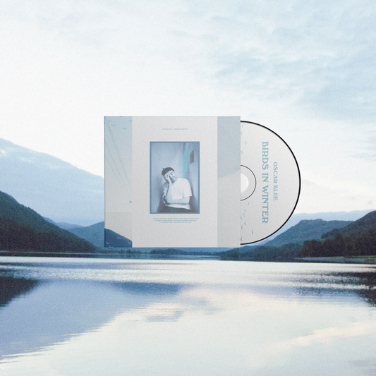 Birds in Winter - CD (ALBUM PRE-ORDER)