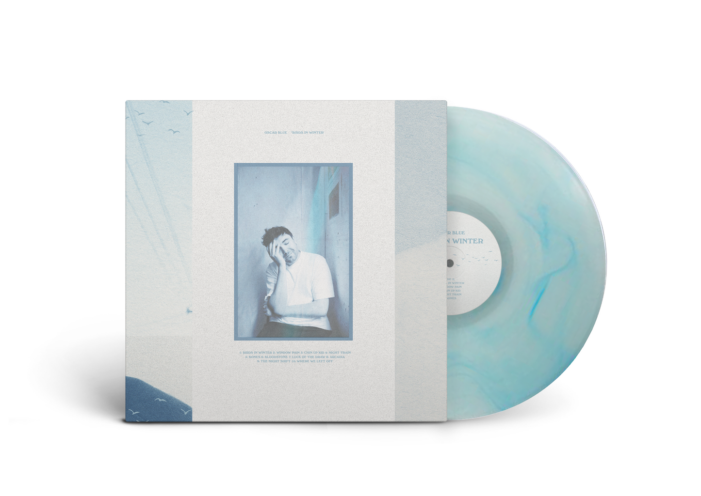 Birds in Winter - Vinyl (ALBUM PRE-ORDER)