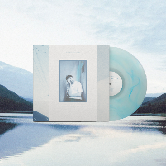 Birds in Winter - Vinyl (ALBUM PRE-ORDER)